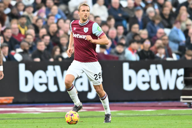 照片中的两 照片中的两