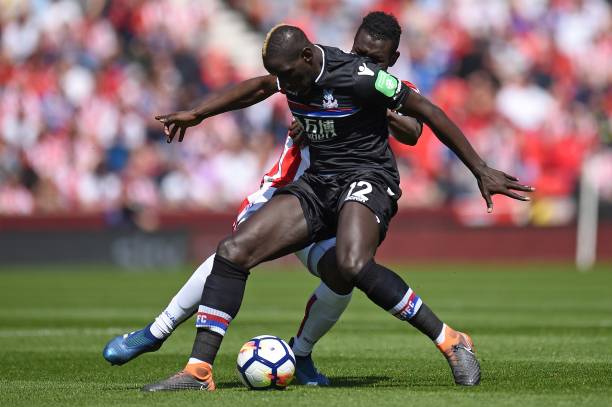 为广大羽毛 为广大羽毛