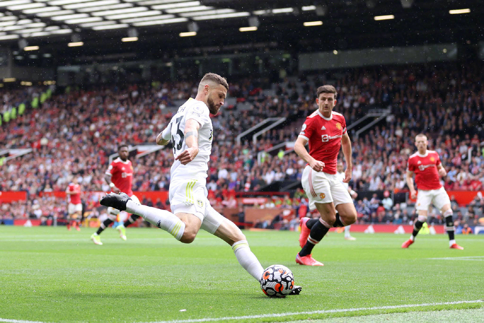 篮中发光 篮中发光